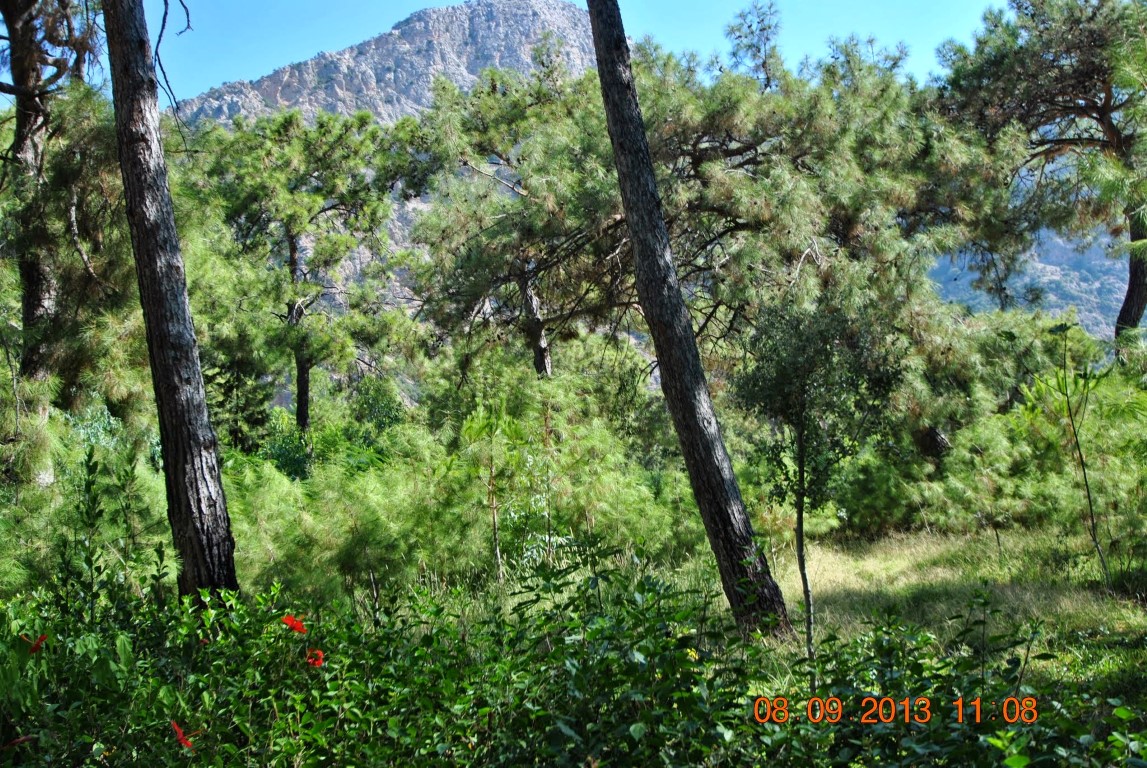 imagini hotel LYKIA WORLD OLUDENIZ